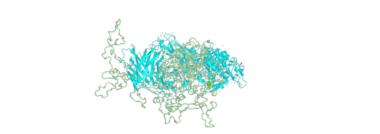 Serine Repeat Antigen 5 (SERA5) and Egress