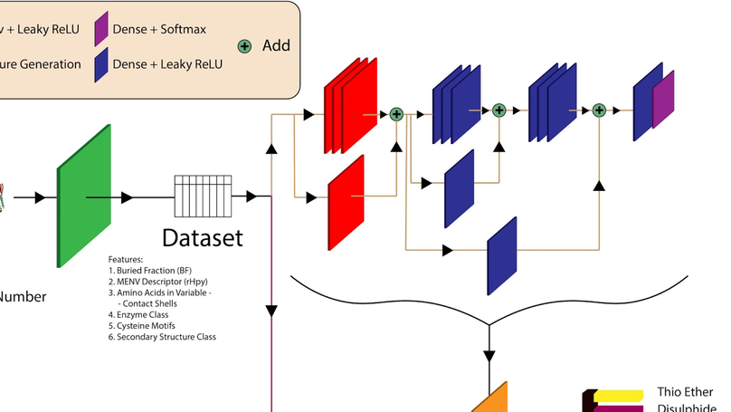 DeepCys: Structure‐based multiple cysteine function prediction method trained on deep neural network: Case study on domains of unknown functions belonging to COX2 domains